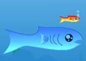 fishy hacked|addicting games fishy.